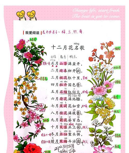 12朵玫瑰花花语的意义（传递爱意的12朵玫瑰花花语解读）
