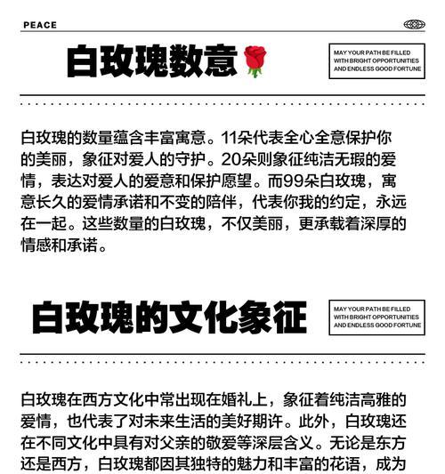 白玫瑰的花语和寓意——美丽而纯洁的象征（白玫瑰的深层寓意与心灵之旅）