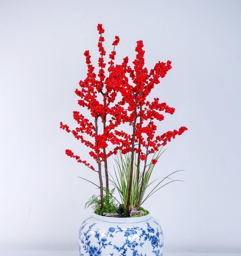 冬青开花的神秘寓意（揭开冬青花开背后的意义）