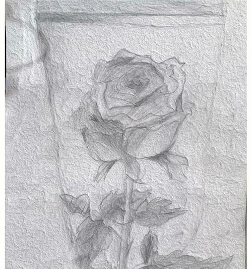 代表意难平的花-缅怀与寄托（用花语诉说，心底的情感）