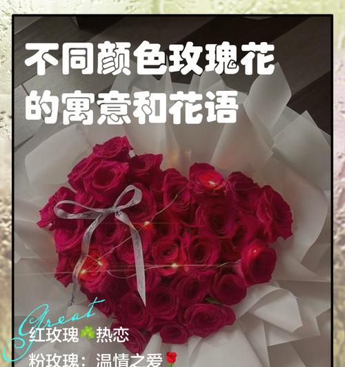 玫瑰花语（玫瑰花语揭示的情感和意义）