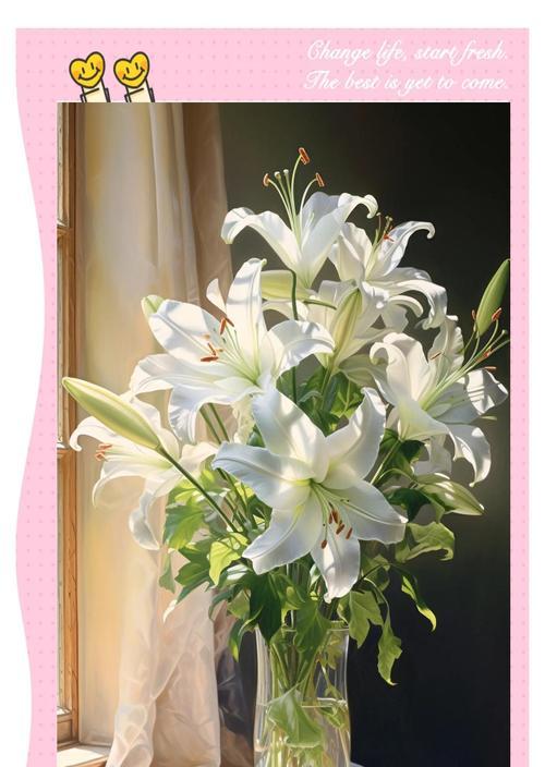 希望之花——康乃馨的花语（盛开在希望园中的康乃馨）