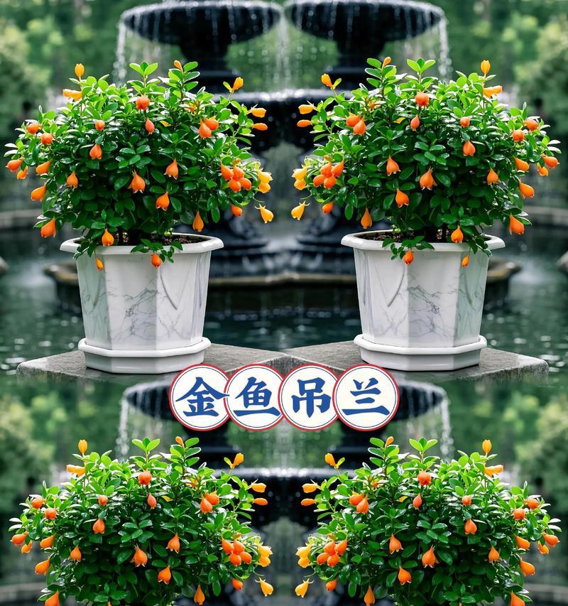 吊兰开花的寓意与象征（花开富贵，家庭幸福）