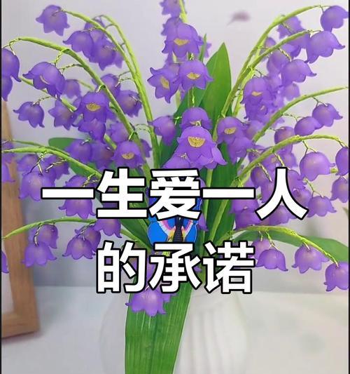 以紫罗兰花语为主题的道歉之旅（重拾真诚，向伤害道歉）