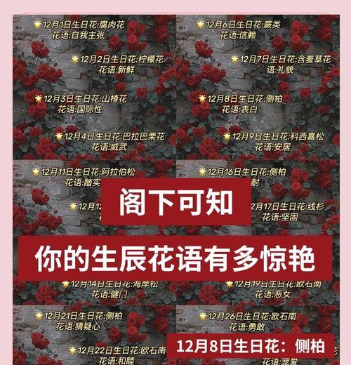 以紫罗兰花语为主题的道歉之旅（重拾真诚，向伤害道歉）