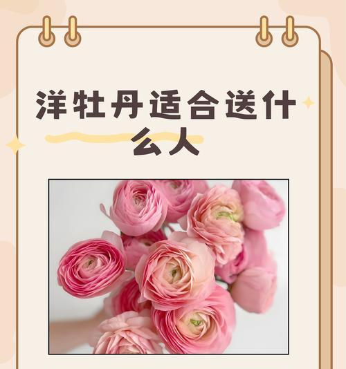 洋牡丹花语与寓意（洋牡丹的花语与寓意及其象征的生活智慧）