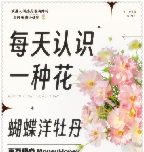 洋牡丹花语与寓意（洋牡丹的花语与寓意及其象征的生活智慧）