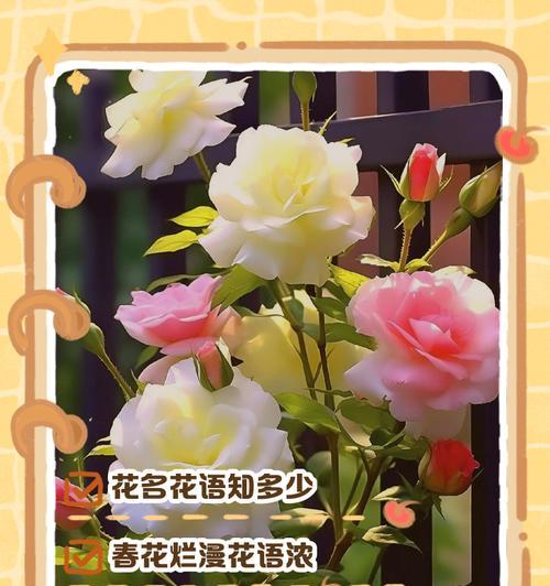 荼蘼之美——花语的诗意（探寻荼蘼的花语，解读花开的心语）