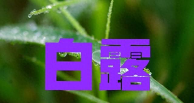 今日白露，老人说"白露节气有三怕"具体指哪三怕？为何？农谚咋说