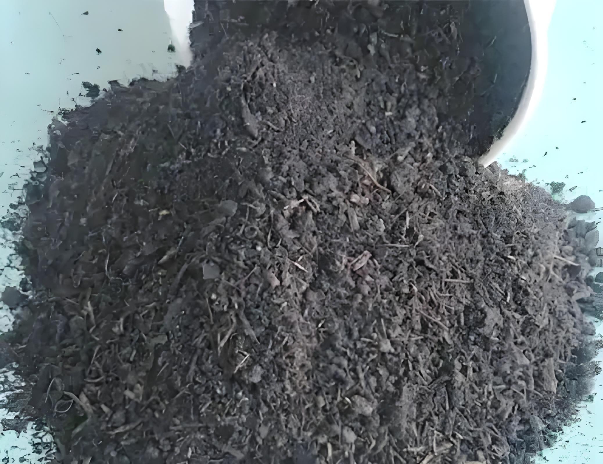 白露种菜正当时！白菜萝卜用3种肥，个头大不空心，错过等一年！