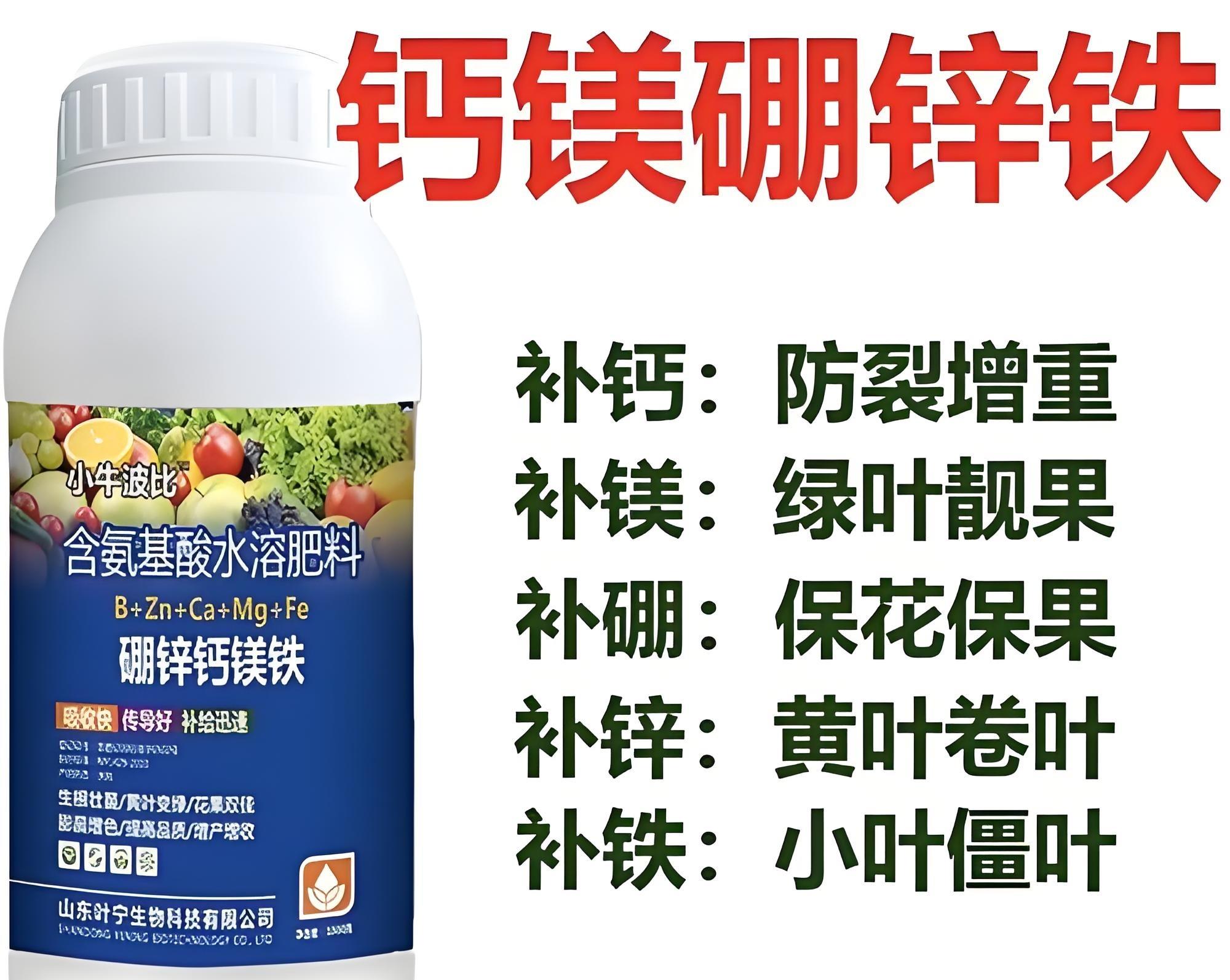 白露种菜正当时！白菜萝卜用3种肥，个头大不空心，错过等一年！