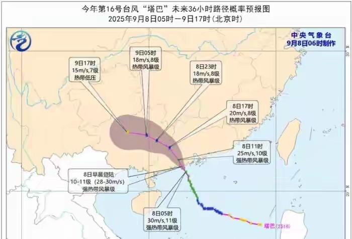 台风强劲发力，新一轮强降雨凶猛来袭，明天9号大雨暴雨分布如下