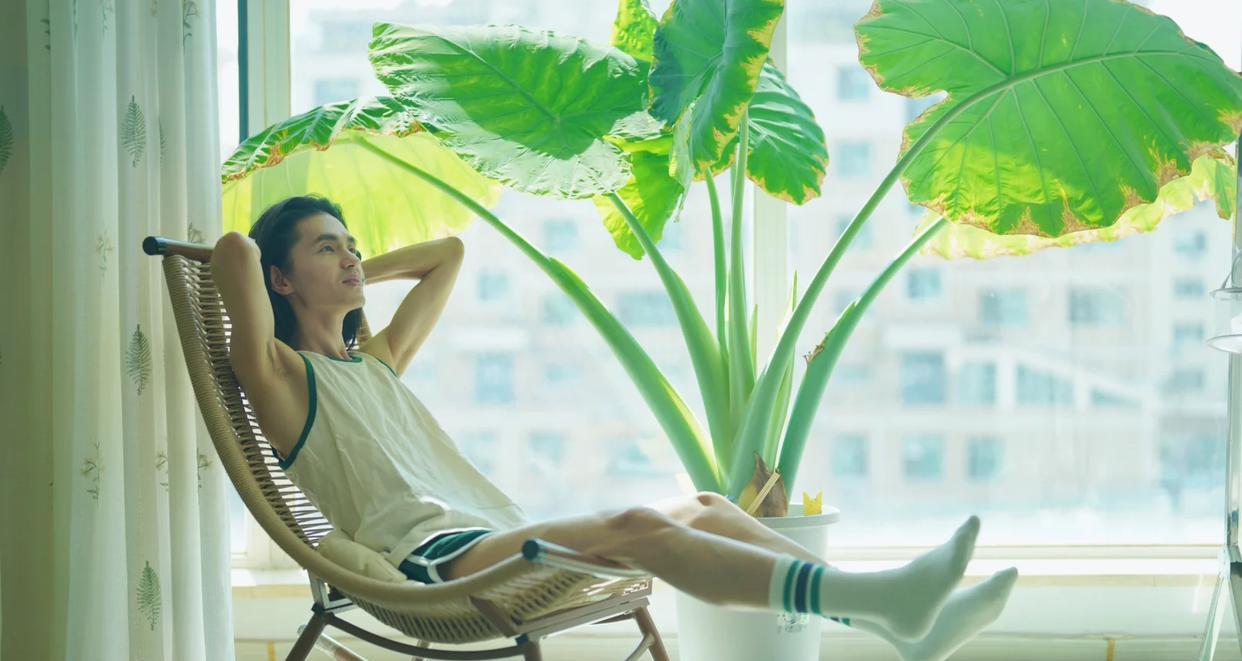 男子家门口栽了一棵花，3个月长成大绿树，网友：天，报恩无疑了