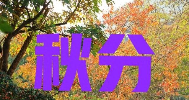 今年秋分不一般，老话＂秋分冷得怪，三九天气坏＂今年冬雪多吗