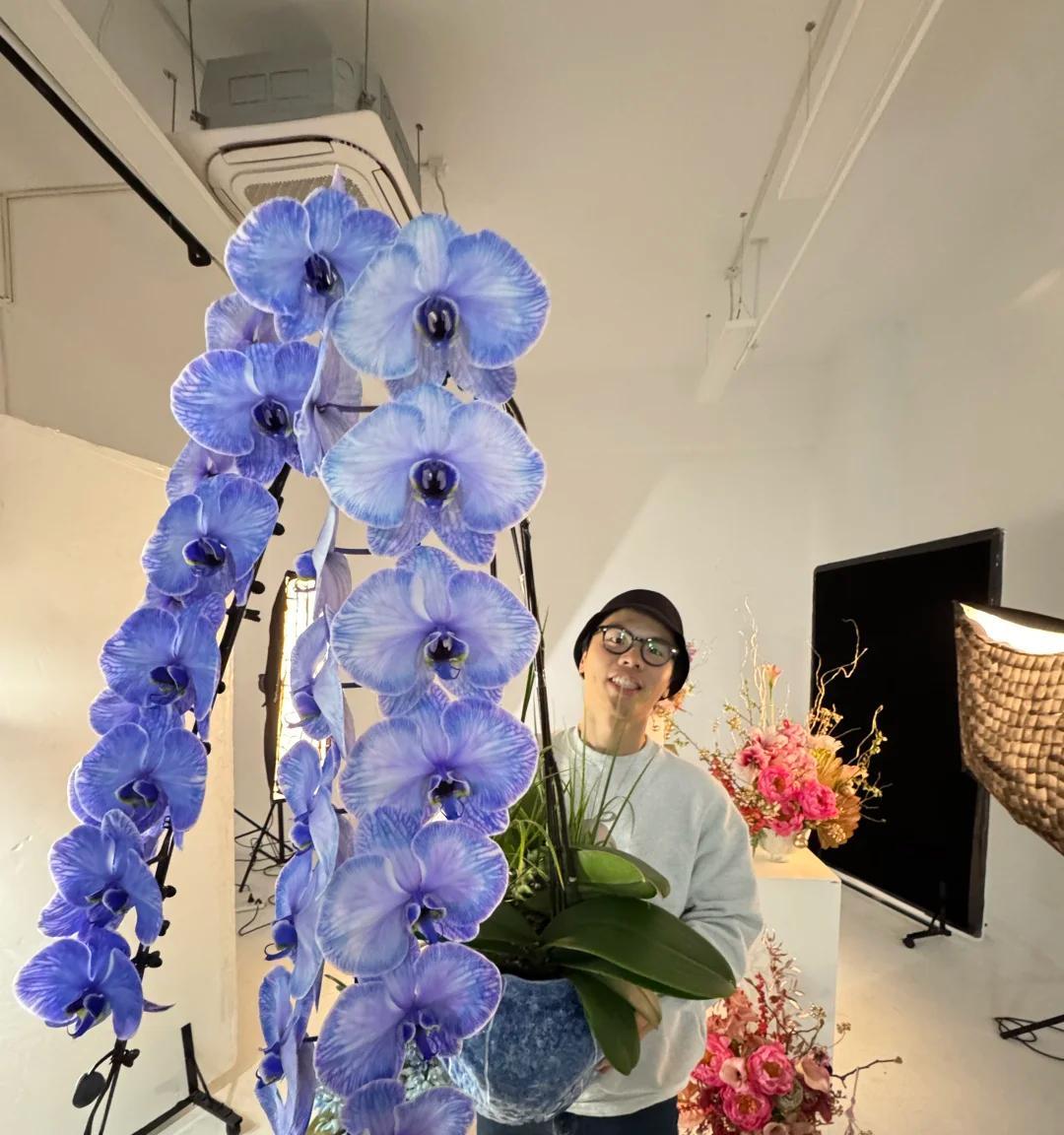 男子晒“5万一盆的龙兰”，真豪气，网友：怪我没见识，感觉假的