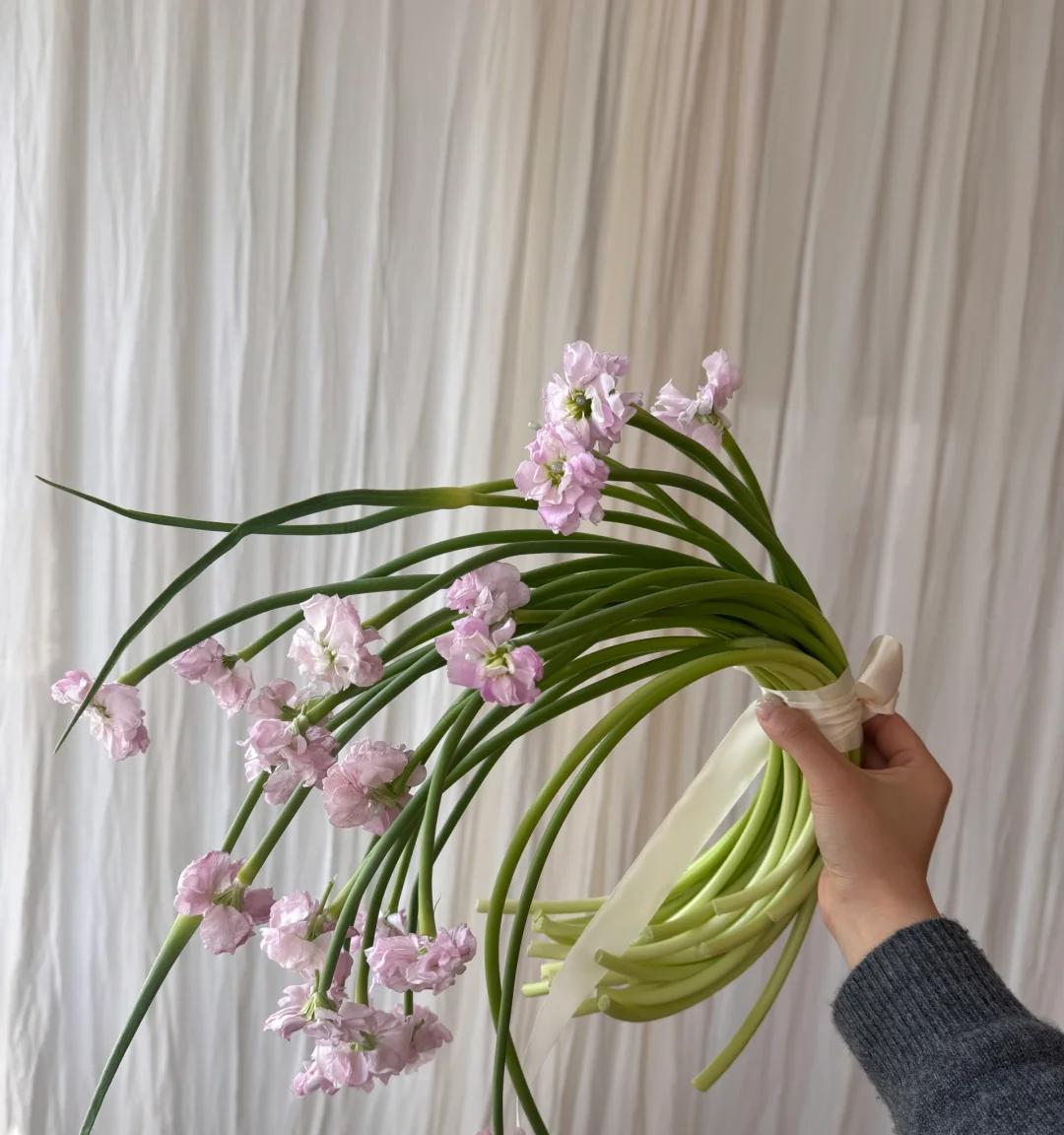 女子“遗忘16天的蒜苔竟开花了”，好美，网友：我读书少，别骗我