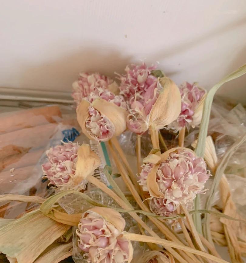 女子“遗忘16天的蒜苔竟开花了”，好美，网友：我读书少，别骗我