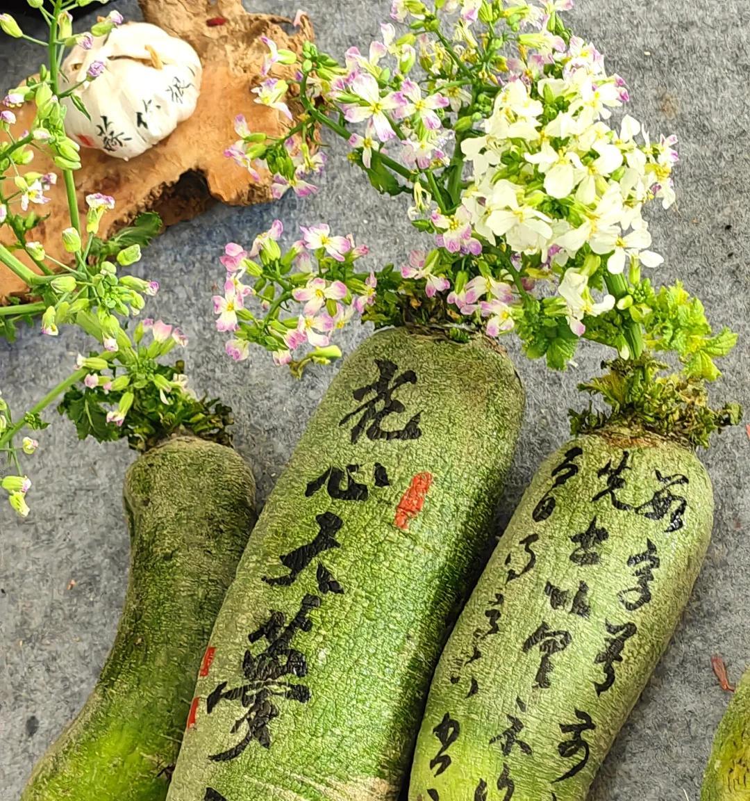 女子“遗忘16天的蒜苔竟开花了”，好美，网友：我读书少，别骗我
