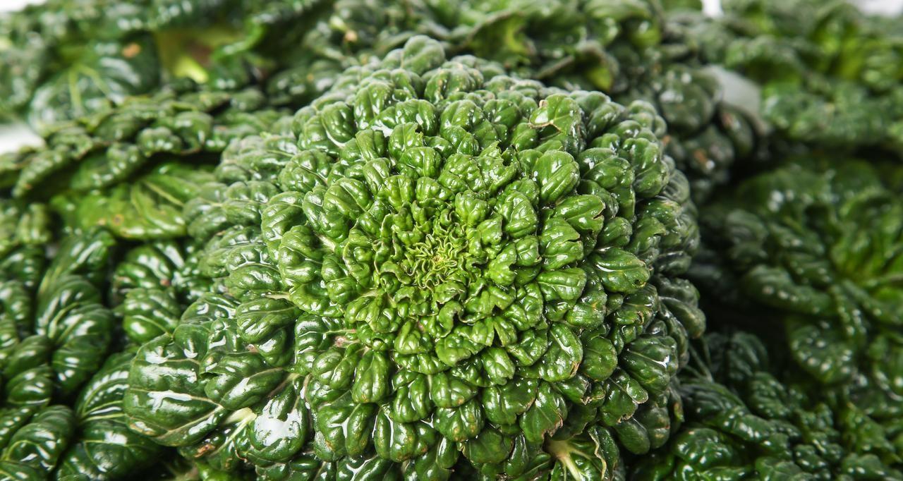 白露早、寒露迟、秋分种植正当时，秋分这些露地蔬菜要抓紧种了