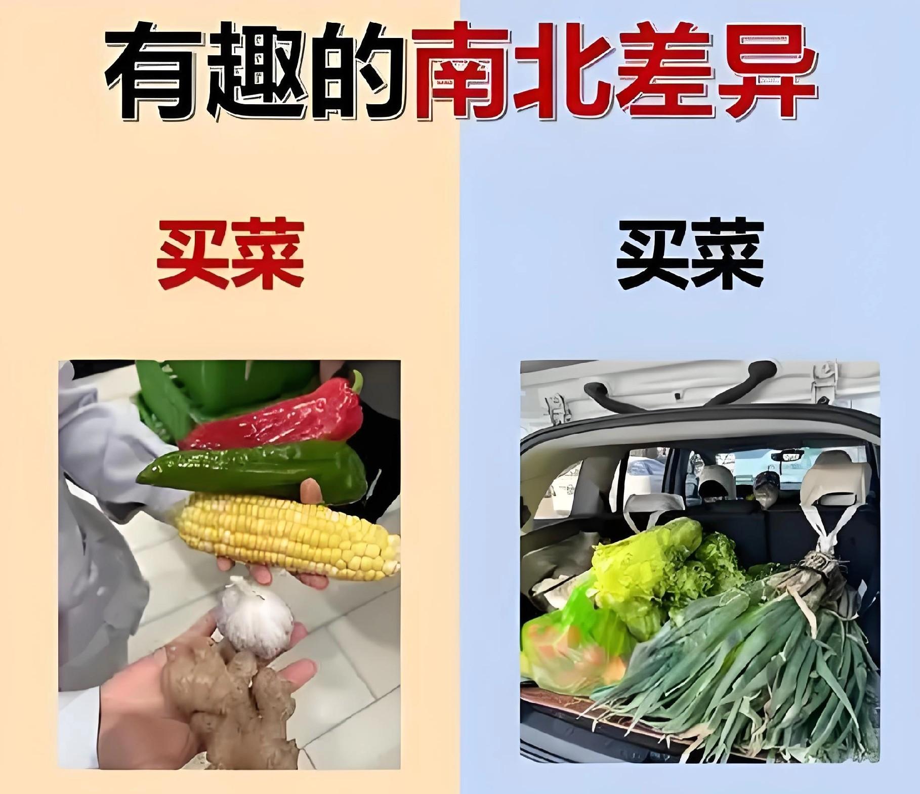 秋分后别闲着！这8种蔬菜赶紧种，南北方差异一次说清