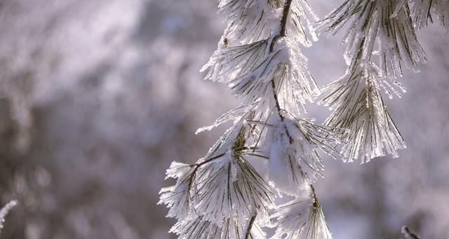 新一轮强降雨中心已锁定，今晚-21号全国天气，大雨暴雨分布如下