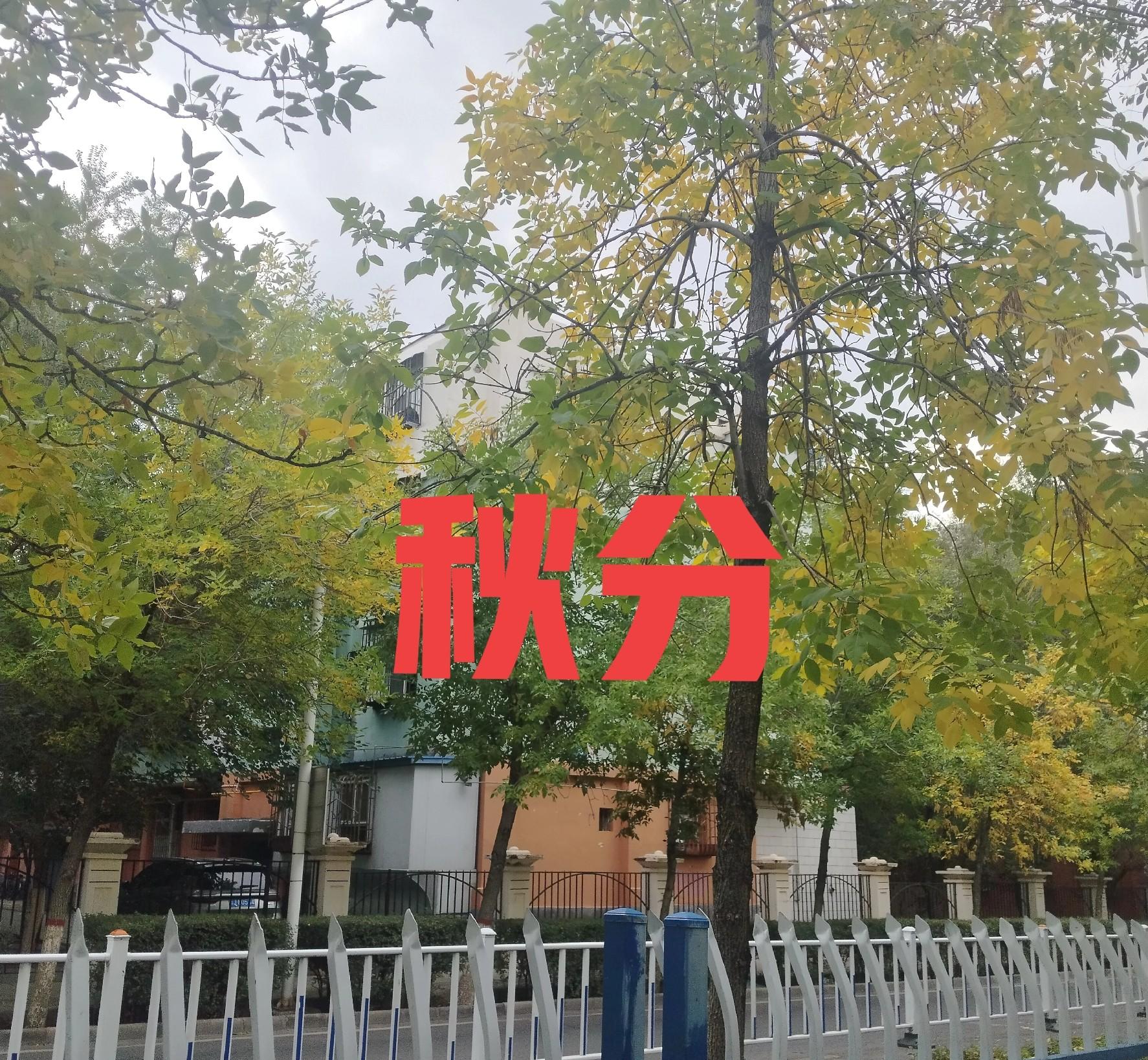 “秋分冷得怪，三九天气坏”，今日秋分，有啥说法？今冬把人冻哭