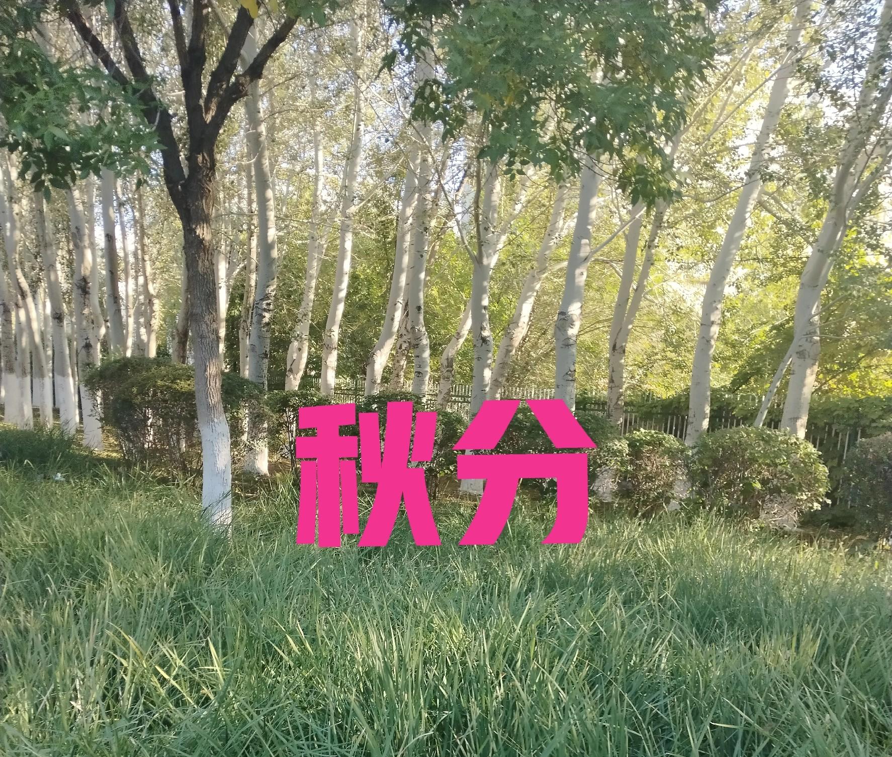“秋分冷得怪，三九天气坏”，今日秋分，有啥说法？今冬把人冻哭