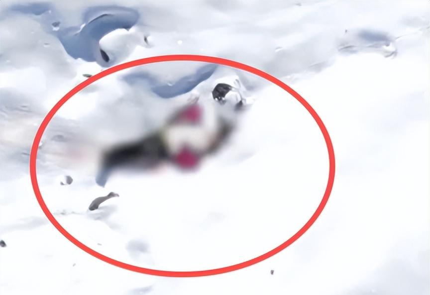 驴友雪山坠崖身亡，遇难画面曝光，身份被扒太可惜，网友却不同情