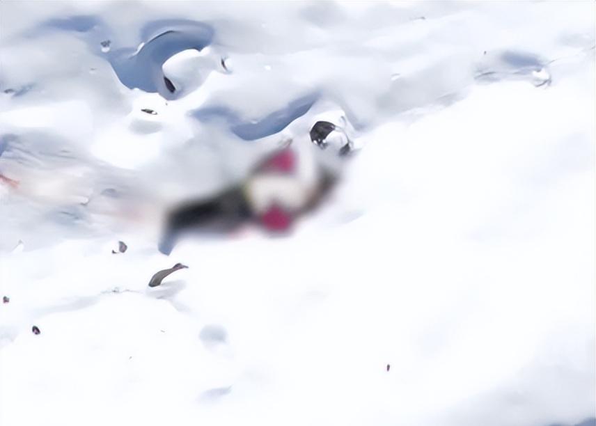 驴友雪山坠崖身亡，遇难画面曝光，身份被扒太可惜，网友却不同情