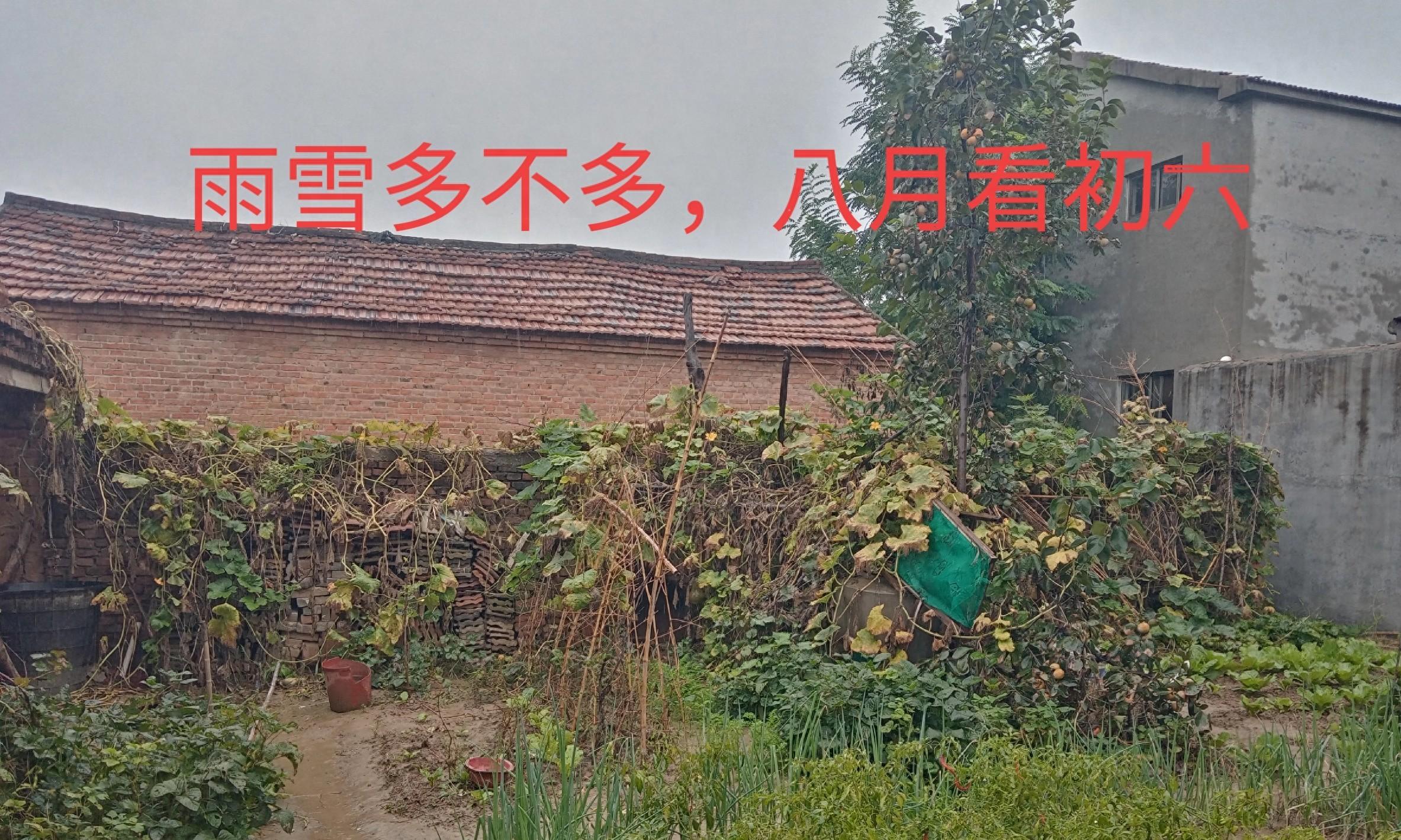 “雨雪多不多，八月看初六”，今日八月初六啥预兆？秋冬雨雪多吗