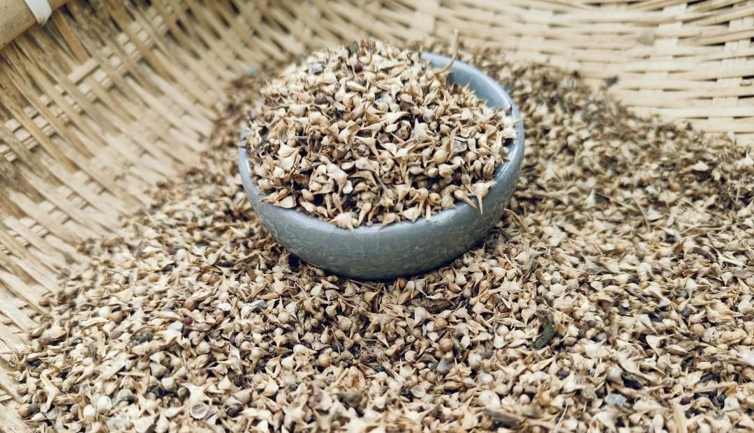 种菜种子不是越新鲜越好！这2类蔬菜必须用新种，另2类要用旧种子