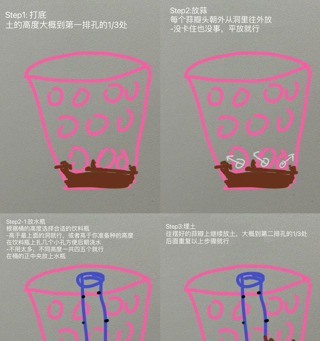 女子用“垃圾筐种蒜”引围观，公司出天才了，网友：好牛，也想种