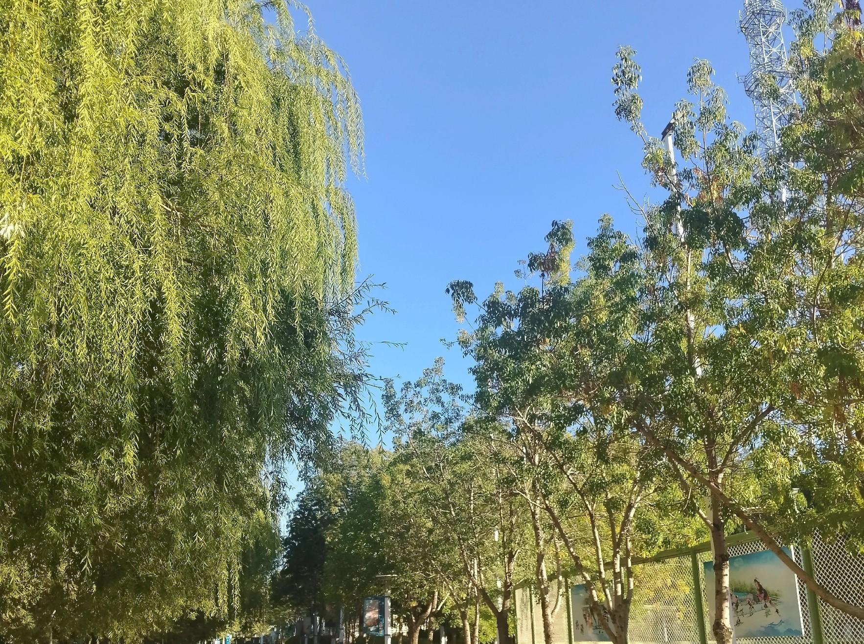 双预警齐发！大暴雨，特大暴雨来袭！28号-10月4号全国天气