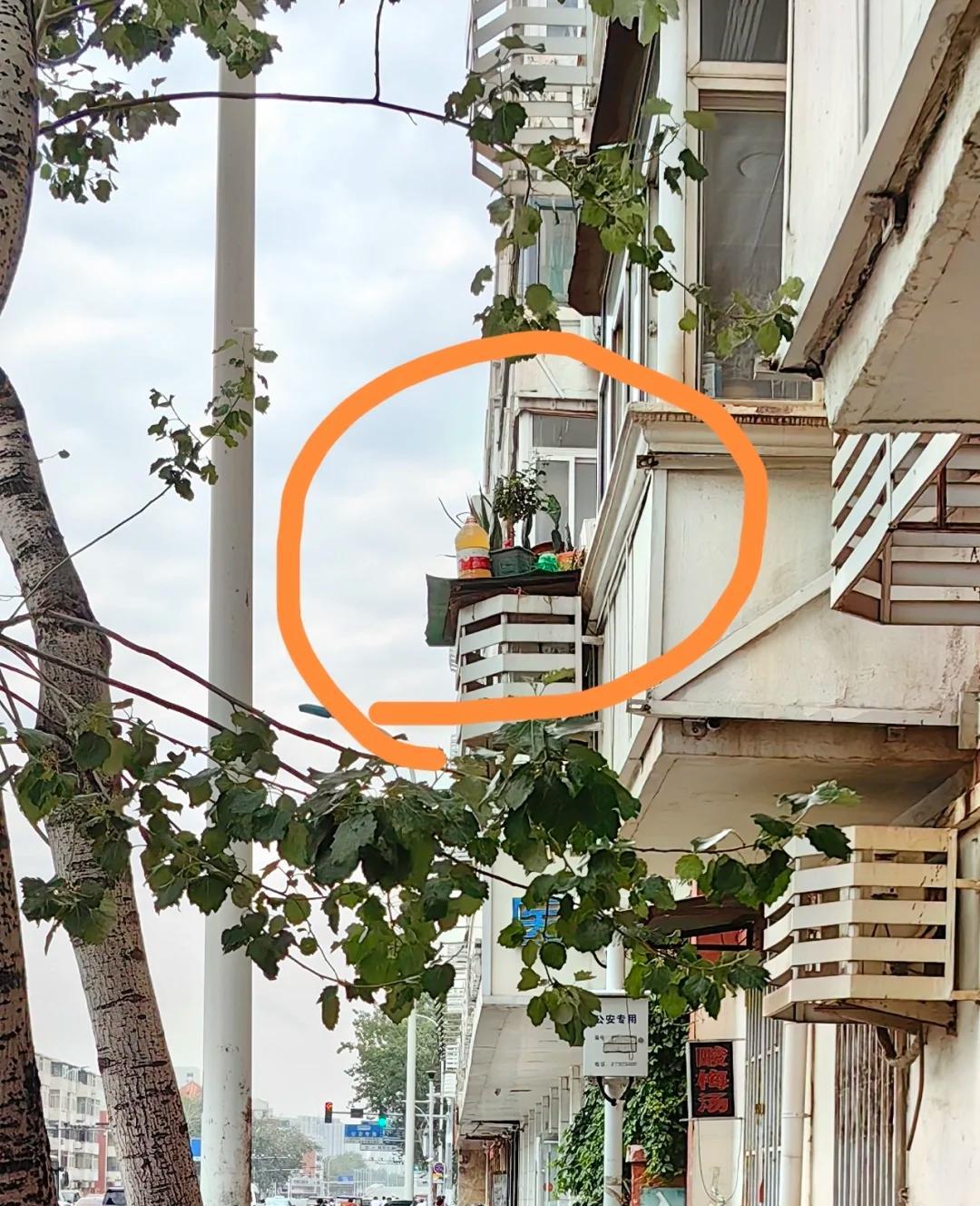 大妈“把屋檐当菜园，还高空抛物”，胆真肥：这菜是非种不可？