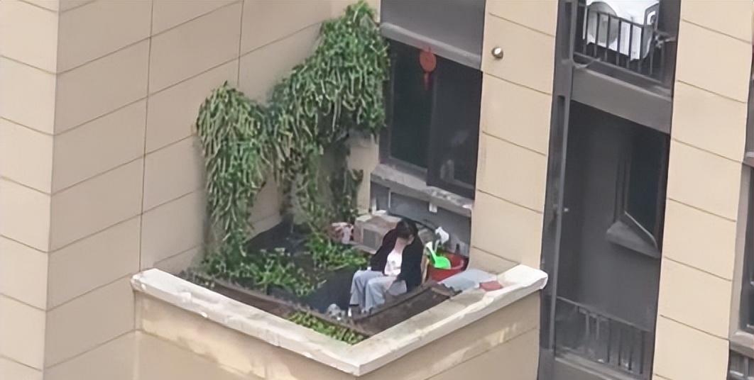 大妈“把屋檐当菜园，还高空抛物”，胆真肥：这菜是非种不可？