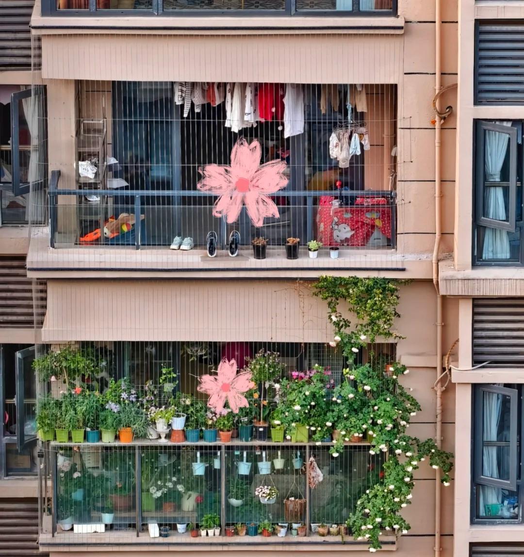 大妈“把屋檐当菜园，还高空抛物”，胆真肥：这菜是非种不可？