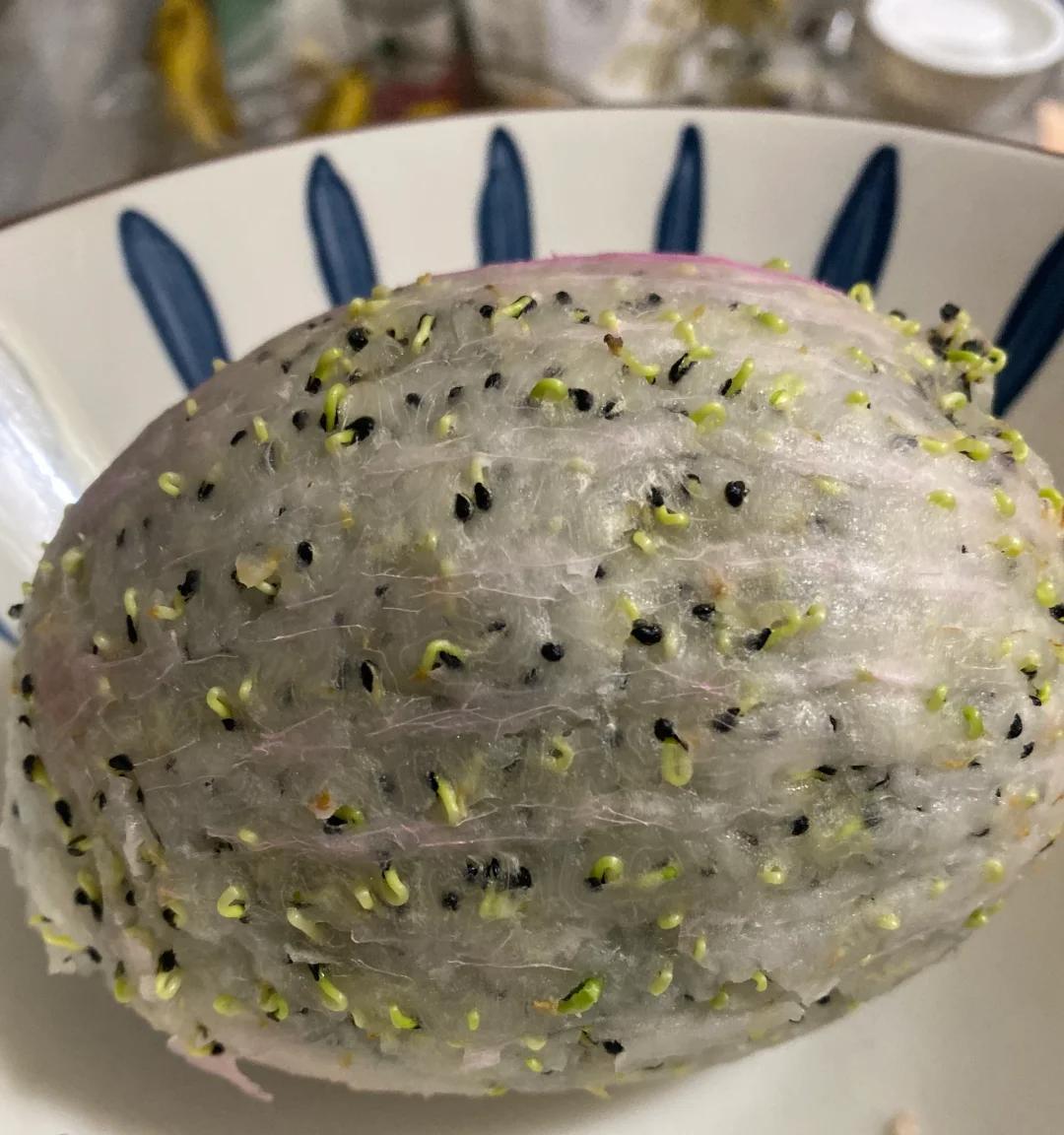 女子“剥皮的火龙果”，竟原地发芽了，网友：为了活着，拼尽全力