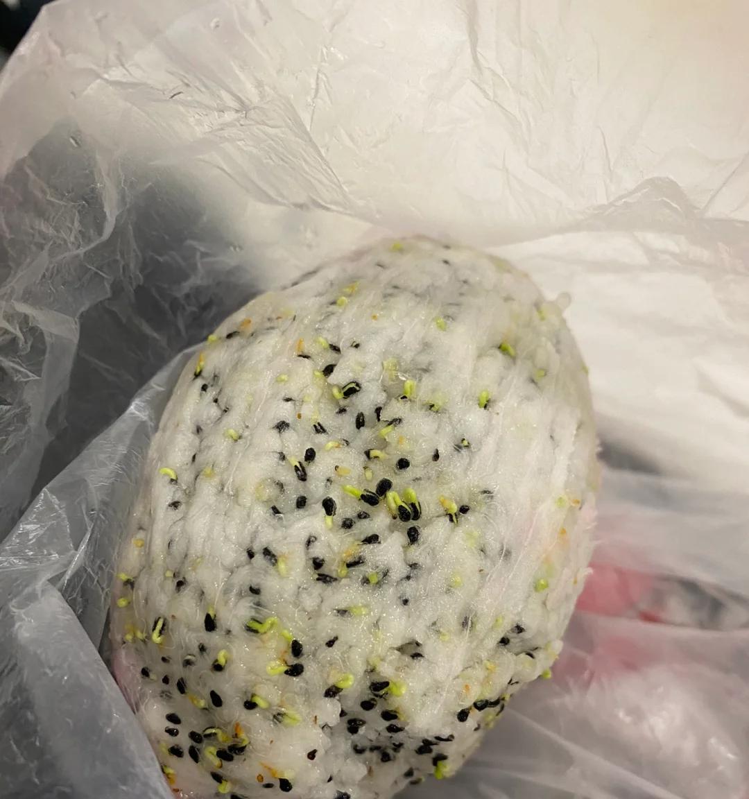 女子“剥皮的火龙果”，竟原地发芽了，网友：为了活着，拼尽全力