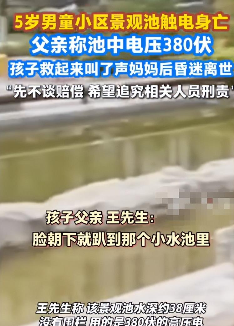 5岁男童触电身亡后续，开发商甩锅，其父亲坚持追责，网友不同情