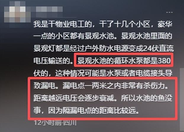 5岁男童触电身亡后续，开发商甩锅，其父亲坚持追责，网友不同情