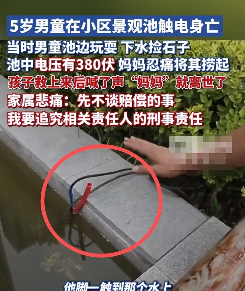 5岁男童触电身亡后续，开发商甩锅，其父亲坚持追责，网友不同情