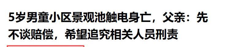 5岁男童触电身亡后续，开发商甩锅，其父亲坚持追责，网友不同情
