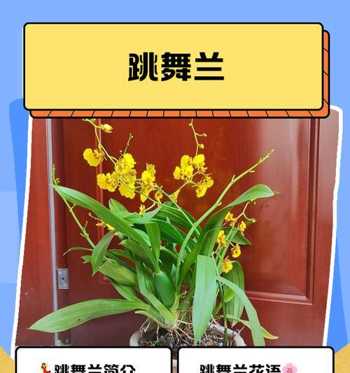 竹兰共荣，自强不息（竹和兰花的象征意义与生命哲学）