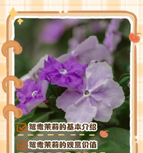竹兰共荣，自强不息（竹和兰花的象征意义与生命哲学）