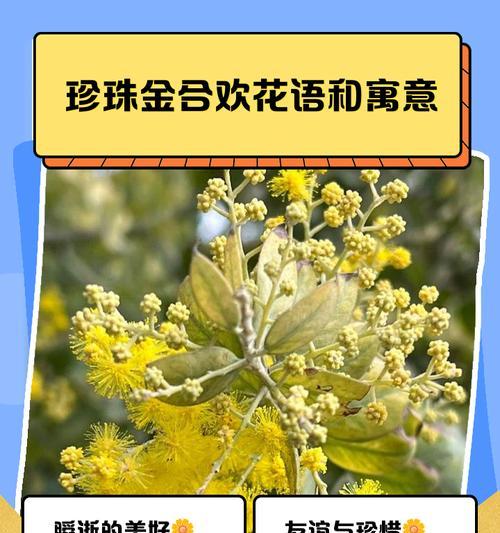 木芙蓉花语（探寻木芙蓉花的花语及意义）
