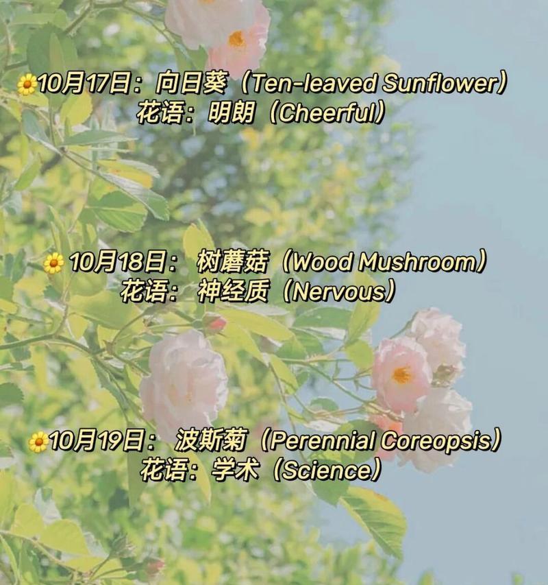 光辉绽放——以向日葵为主题的花语探究（探寻向日葵所传递的光明与希望）