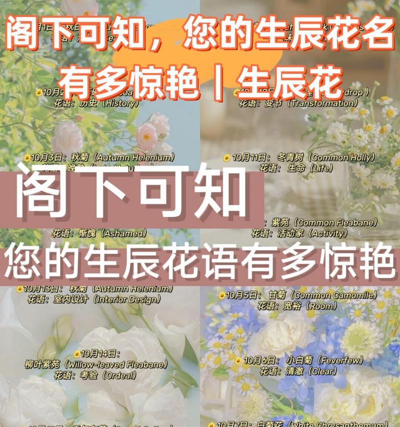 合欢花的象征意义与寓意（传递心灵的情感和和谐之美）