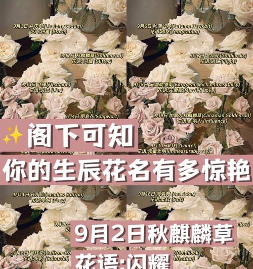 草莓花(草莓花的美丽与象征意义)