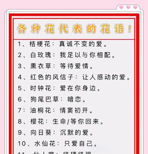 月季花语的美丽与寓意（探寻月季花语的秘密和传递之道）