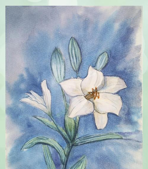 丁香花（以花语传递心意，感受丁香花的美好）